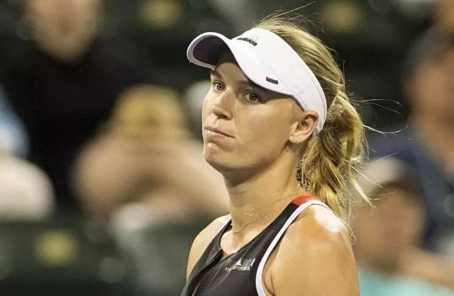 碳中和赌场案例研究发布